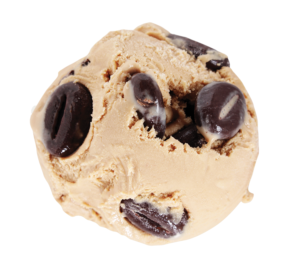 Mocha Coffee Bean